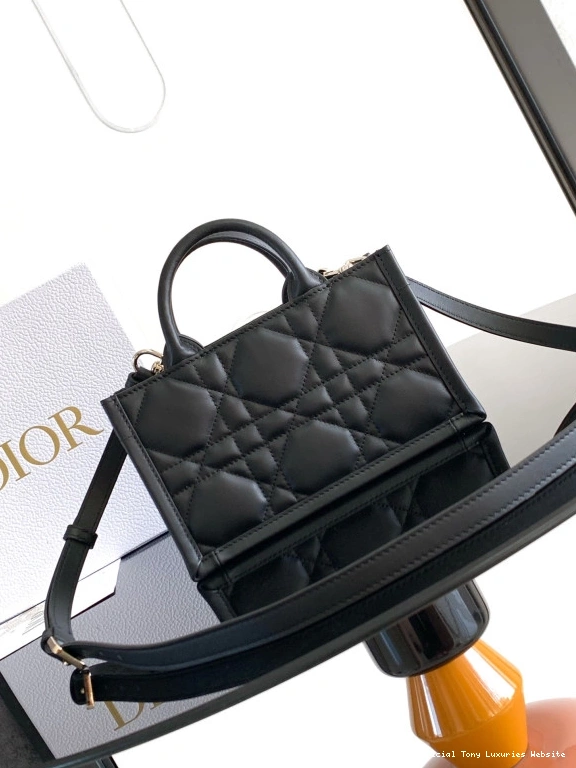 Tony Luxuries TOTE-21.5*13*7.5CM MINI diro BOOK 0730